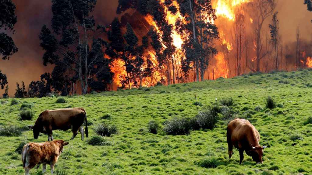 Incendio en las proximidades de Naves (Llanes).