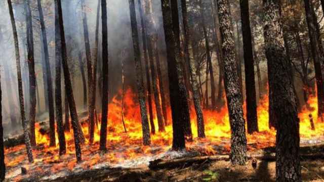 El incendio de Gavilanes en el Valle del Tiétar está alcanzando grandes proporciones