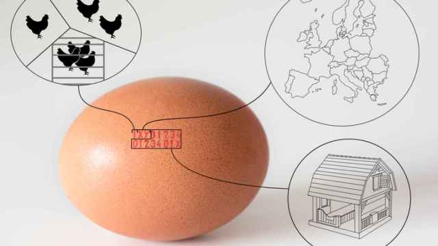 El huevo, reconócelo por su código