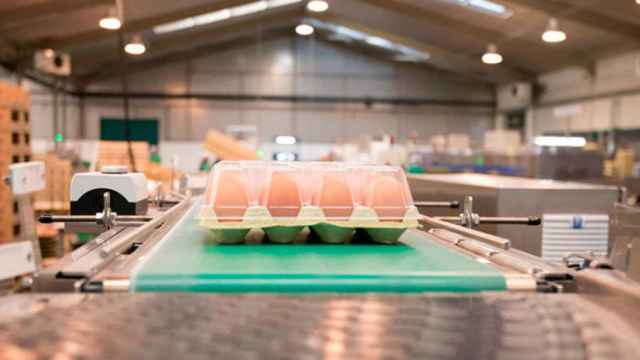 El proveedor de huevos de Mercadona vaticina una caída de precios por la presión ecologista