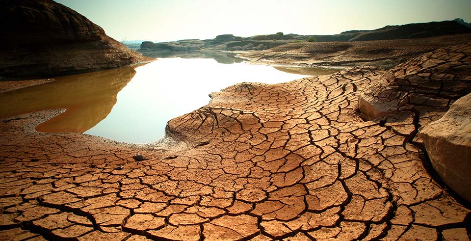 ¿Qué consecuencias tiene el cambio climático sobre la economía?