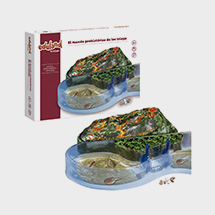 El mundo prehistórico de los Triops Eduland